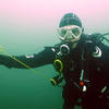 Picture taken during the dive