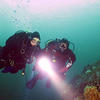 Picture taken during the dive