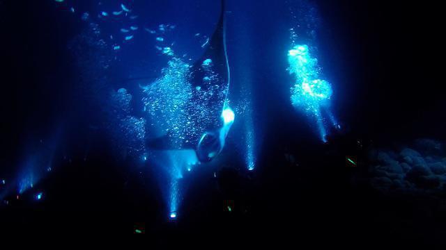 Jack's Diving Locker - Dive Center in United States