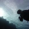 Picture taken during the dive