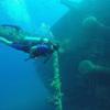 Picture taken during the dive