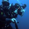 Picture taken during the dive