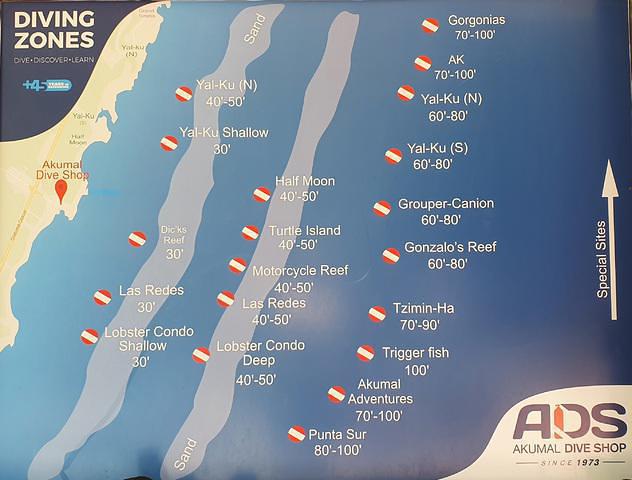 Akumal Dive Shop - Dive Center in Mexico