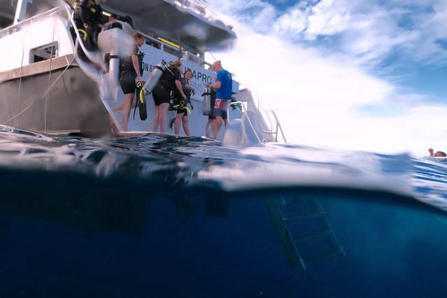 Pro Dive Cairns - Dive Center in Australia