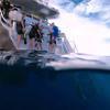 Picture taken during the dive