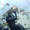 Picture taken during the dive