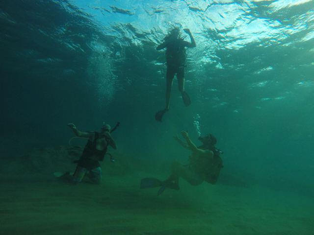 Nautilus Diving School - Dive Center
