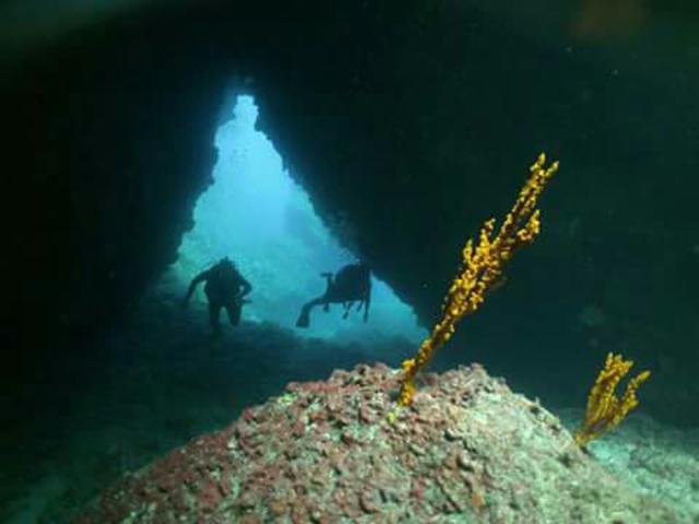 Blue Fin Divers - Dive Center in Greece