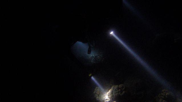 Diving in Indonesia, Depan Dermaga Tidung Kecil - By Arcen