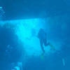 Picture taken during the dive
