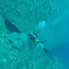 Picture taken during the dive