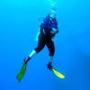 Picture taken during the dive