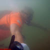 Picture taken during the dive
