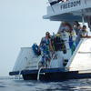 Picture taken during the dive