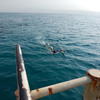 Picture taken during the dive