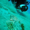 Picture taken during the dive