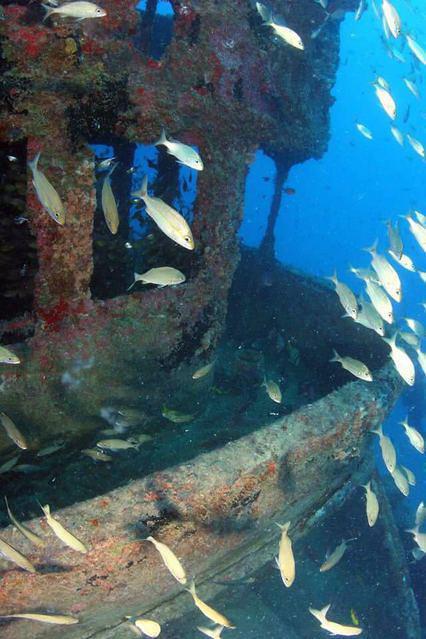 Aica Diving - Dive Center