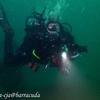 Picture taken during the dive