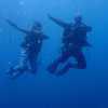 Picture taken during the dive
