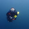 Picture taken during the dive