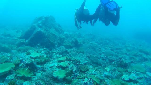 Scuba Froggy - Dive Center in Indonesia