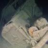 Picture taken during the dive