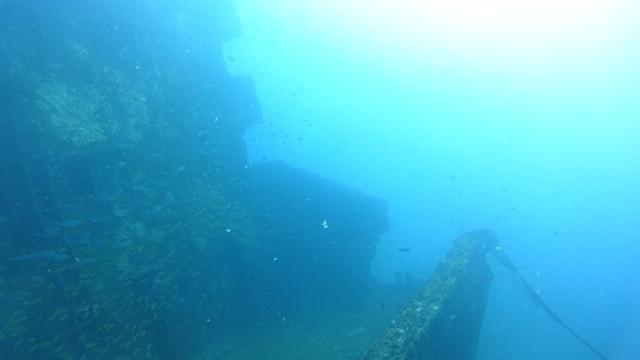 Diving in Sri Lanka, Colombo - By Tom Griffith