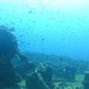 Picture taken during the dive