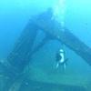Picture taken during the dive