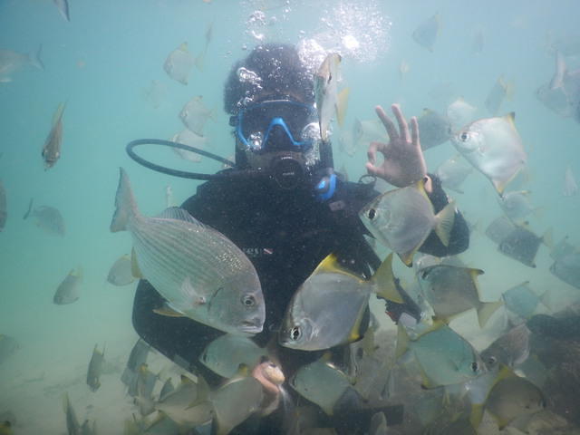 Queensland Scuba Diving Co - Dive Center in Australia