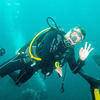 Picture taken during the dive