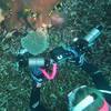 Picture taken during the dive