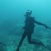 Picture taken during the dive