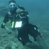 Picture taken during the dive