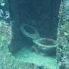 Picture taken during the dive