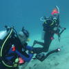 Picture taken during the dive