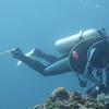 Picture taken during the dive