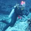 Picture taken during the dive
