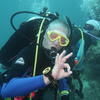 Picture taken during the dive