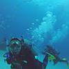 Picture taken during the dive