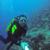 Picture taken during the dive