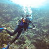 Picture taken during the dive