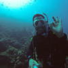Picture taken during the dive