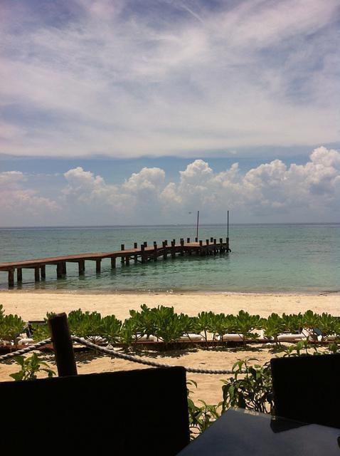 Pro Dive Mexico, SA De CV - Dive Center in Mexico