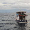 Picture taken during the dive