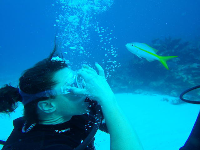 Scuba Cancun - Dive Center in Mexico