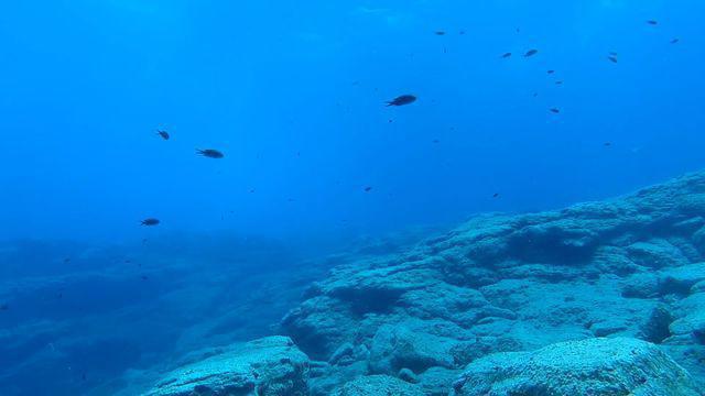 Diving in Greece, Mononaftis - By Tanek