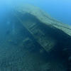 Picture taken during the dive