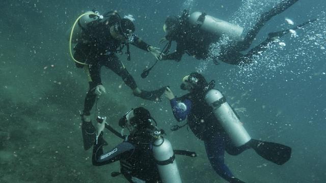 Diving in Indonesia, Thousand Islands, Jakarta - By Barito Jati