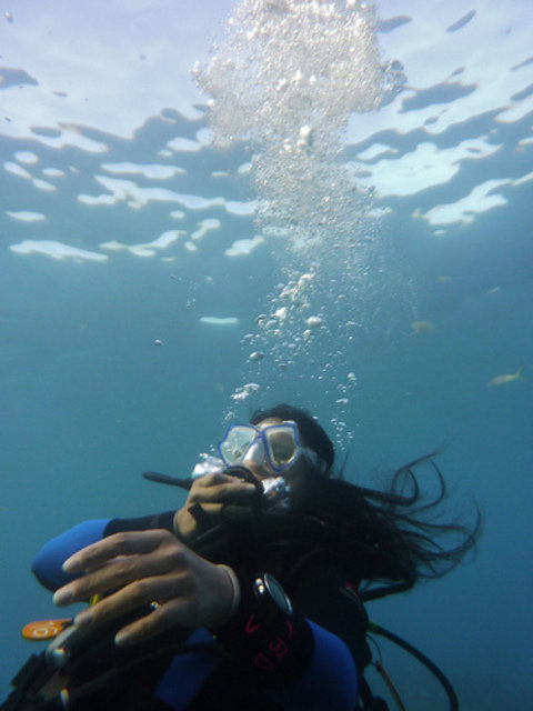 South Beach Dive & Surf - Dive Center in United States